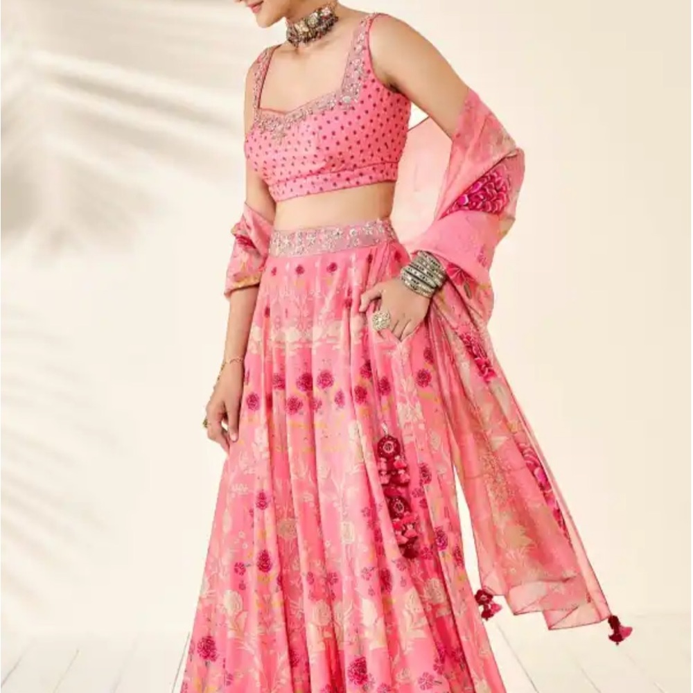 Anita Dongre Lehenga XS - Picture 4 of 6